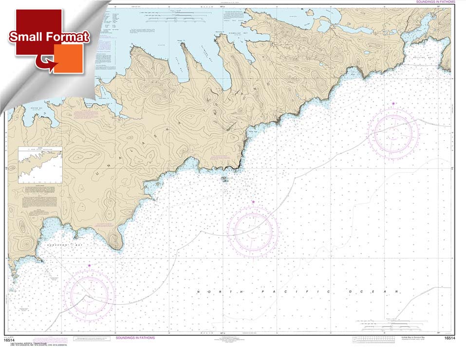 Kulikak Bay and Surveyor Bay