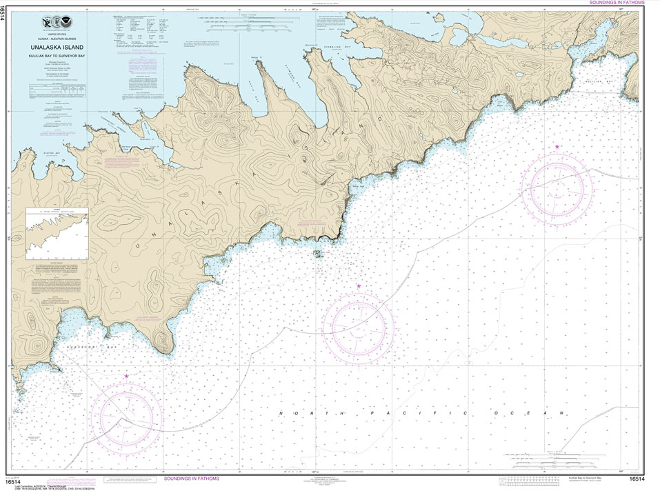 Kulikak Bay and Surveyor Bay