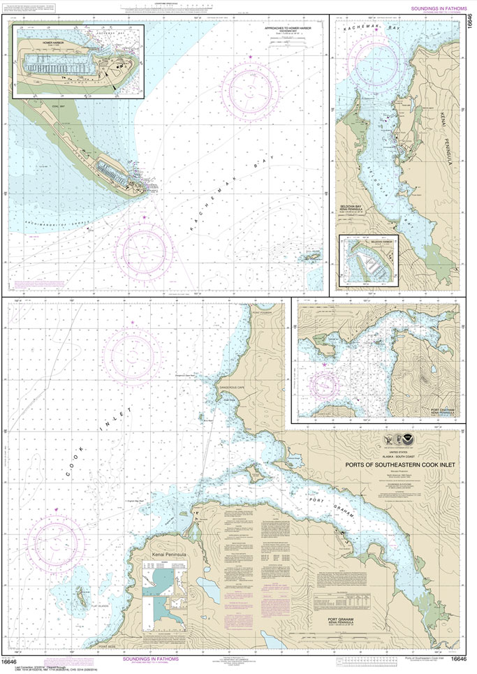 Ports of Southeastern Cook Inlet Port Chatham;Port Graham;Seldovia Bay;Seldovia Harbor;Approaches to Homer Hbr;Homer Harbor